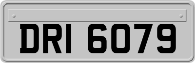 DRI6079