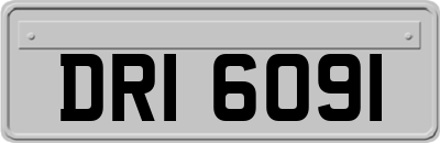 DRI6091