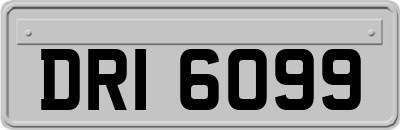 DRI6099