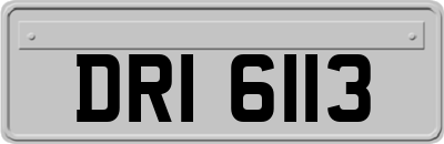 DRI6113