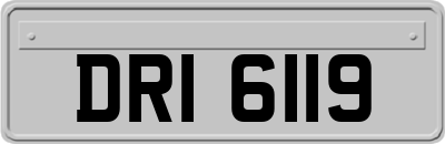 DRI6119