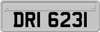 DRI6231