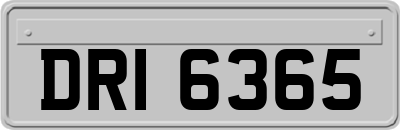 DRI6365