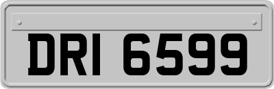 DRI6599