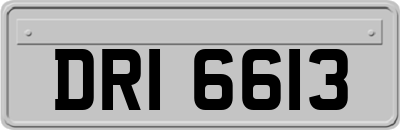 DRI6613