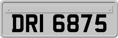 DRI6875