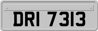 DRI7313