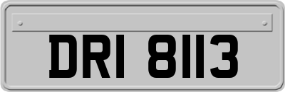 DRI8113