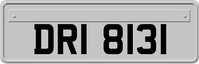DRI8131