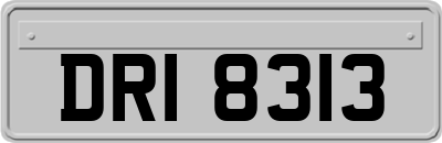 DRI8313