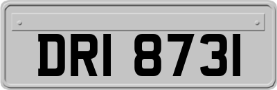 DRI8731