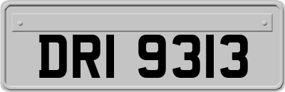 DRI9313