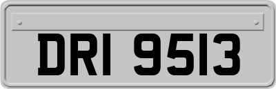 DRI9513