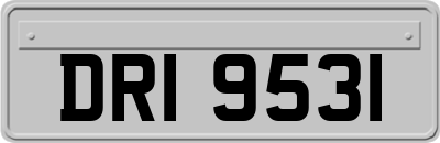 DRI9531