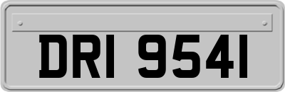 DRI9541