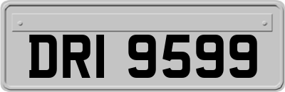 DRI9599