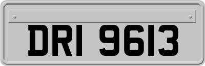 DRI9613