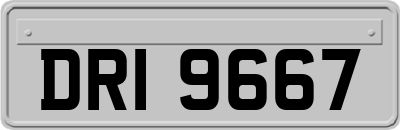 DRI9667