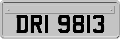 DRI9813