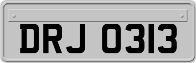 DRJ0313