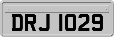 DRJ1029