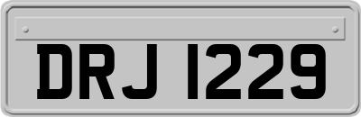 DRJ1229