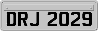 DRJ2029