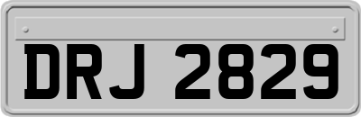 DRJ2829