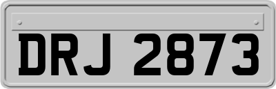 DRJ2873