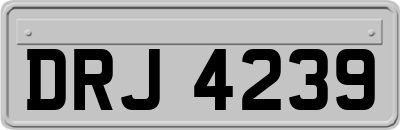 DRJ4239