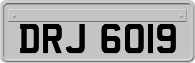 DRJ6019