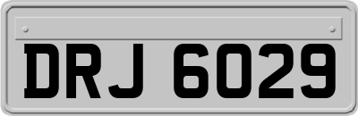 DRJ6029