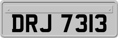 DRJ7313