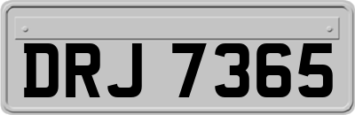 DRJ7365