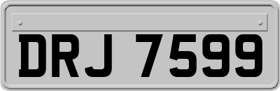 DRJ7599