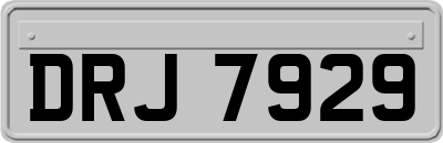 DRJ7929