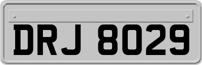 DRJ8029