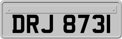 DRJ8731