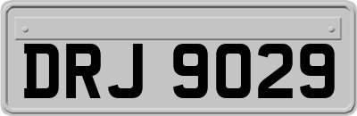 DRJ9029
