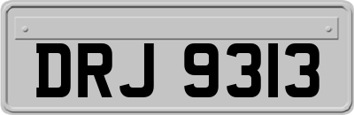 DRJ9313