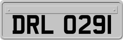 DRL0291