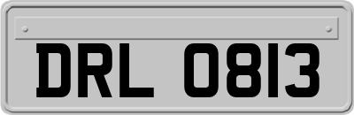DRL0813