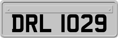DRL1029