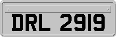 DRL2919