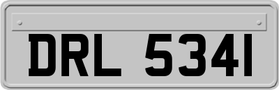 DRL5341