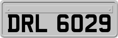 DRL6029