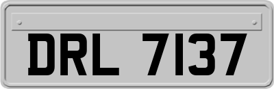 DRL7137