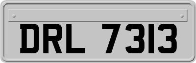 DRL7313