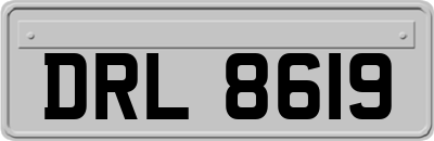 DRL8619