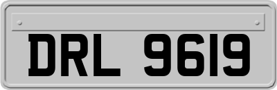 DRL9619